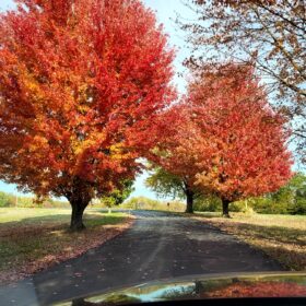 Fr. Dick’s Spiritual Reflection–11/19/2025