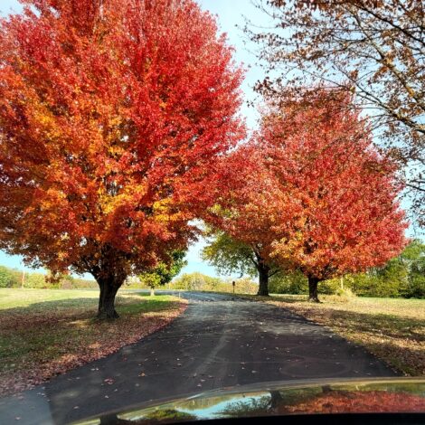 Fr. Dick’s Spiritual Reflection–11/19/2025