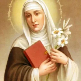 Fr. Bob’s Spiritual Reflection–4/29/2026