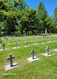 Fr. Dick’s Spiritual Reflection–5/20/2026