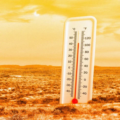 Fr. Dick’s Spiritual Reflection–8/12/2026
