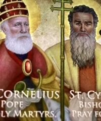 Fr. Bob’s Spiritual Reflection-9/16/2026